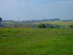 Sur le Landsgrafenberg - Vue en direction de Krippendorf