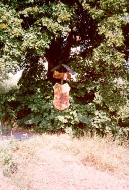 Au Moulin brûlé - Photo : R. Ouvrard