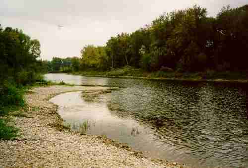 Le Stadtlauer Arm aujourd’hui (la Lobau est à droite)